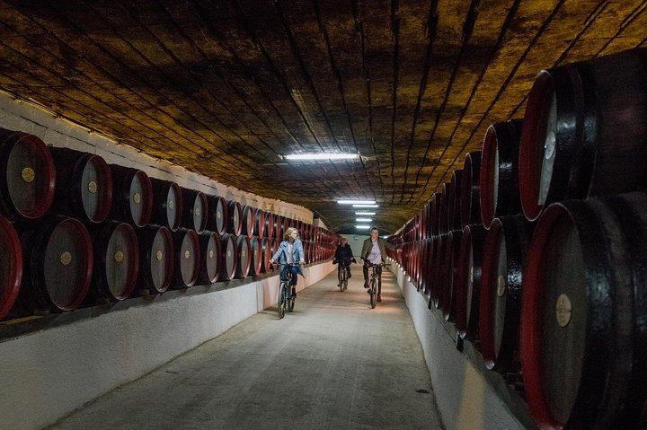 Visite privée à vélo à la cave Cricova avec dégustation de vin et déjeuner