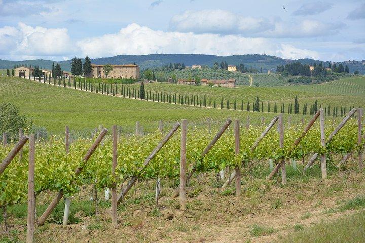 It's Wine Time! 2 wineries & farm-to-table lunch—max 8 pp