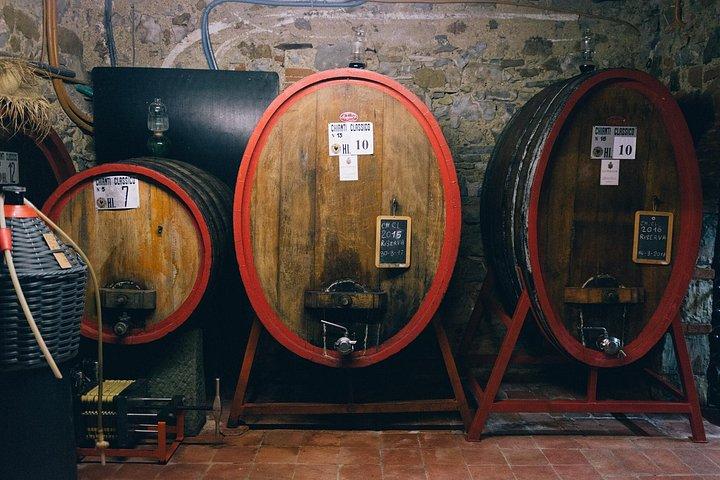 Private Off Road Wine Tour in Chianti