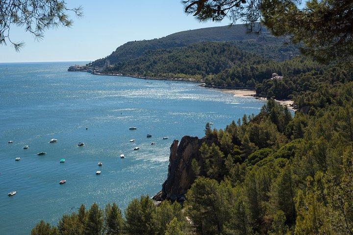Ganztägige private Arrabida-Tour mit Weinprobe