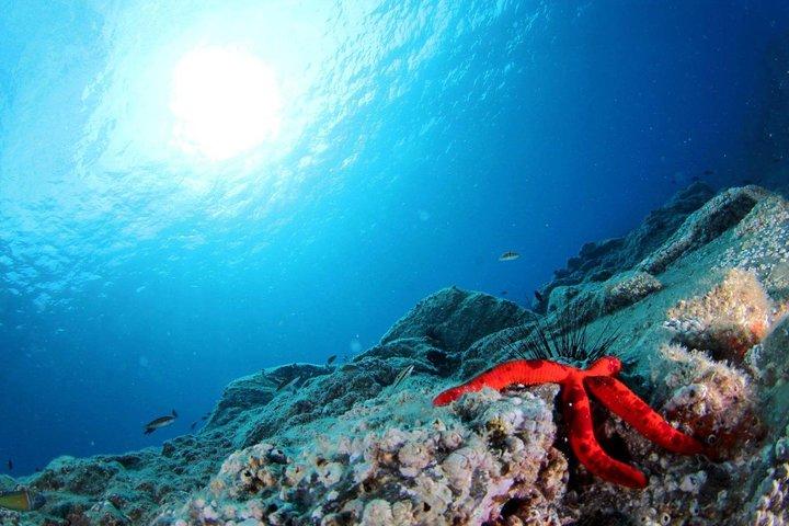 First-Time Scuba Diving Adventure