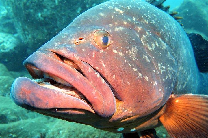 First-Time Scuba Diving Adventure