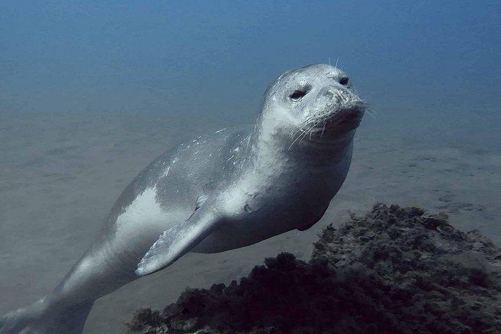 First-Time Scuba Diving Adventure