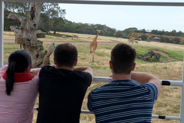 ウェロビー オープン レンジ動物園でのデラックス サファリ アドベンチャー (料金を除く)エントリ
