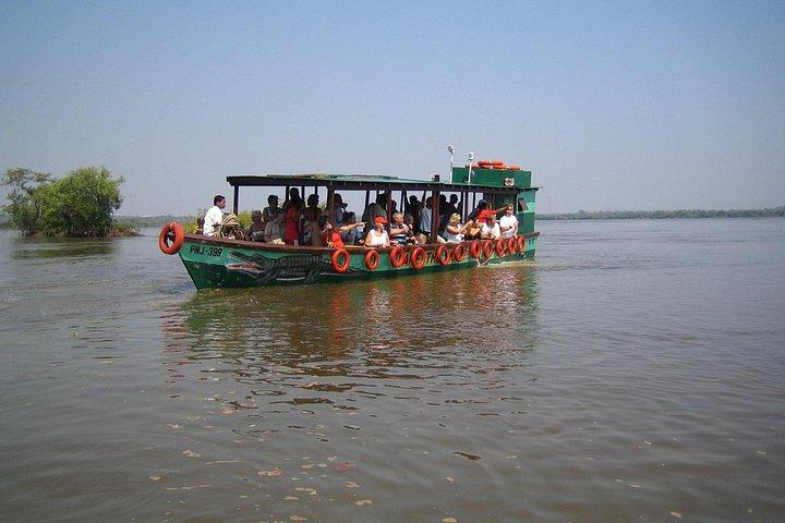 Avistamiento de cocodrilos con recorrido a pie por plantaciones locales en Goa