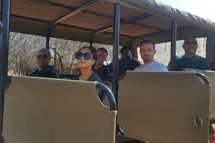 Eén dag Safari inclusief een 5 uur durende Open Safari Vehicle Drive