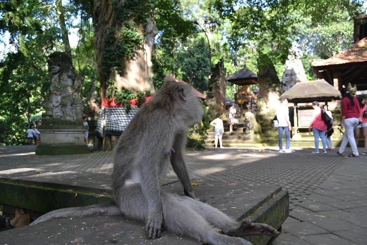 ウブド 1 日ツアー - 自分だけの旅行を装う