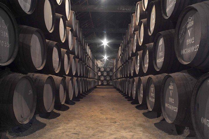 Tour privato flessibile di Porto da Lisbona con Guida turistica locale