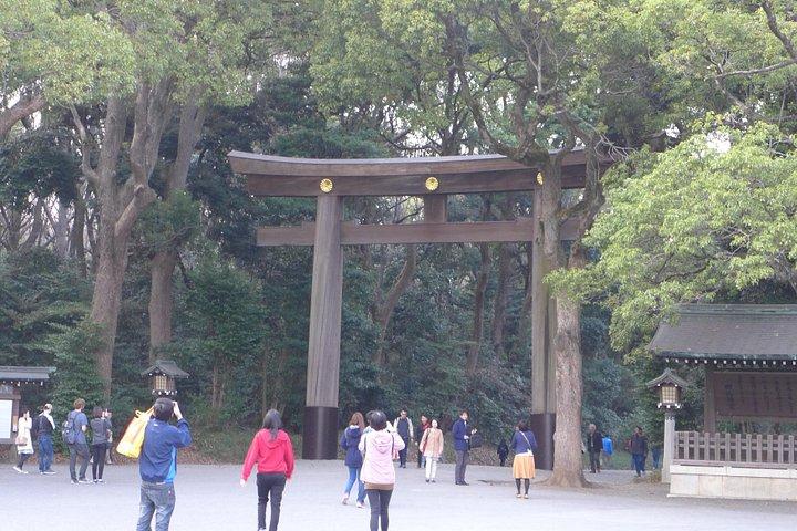 リクエストに応じてカスタマイズされた東京シティツアー
