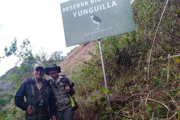 Fuglekigningstur i Giron og Yunguilla Jocotoco Reserve fra Cuenca