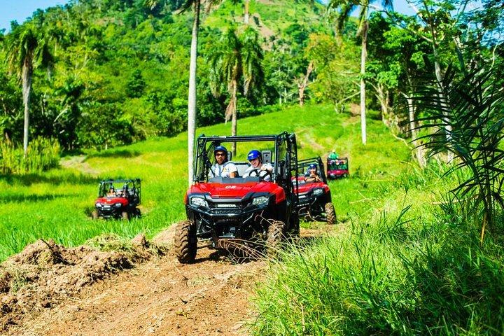 Äventyrsbunt: Monkeyland, Ziplines & Buggies Punta Cana
