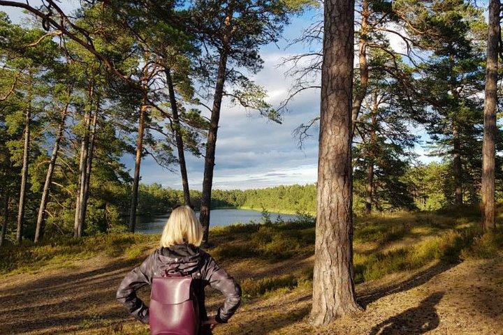 Four Natural Ecosystems In One Hike