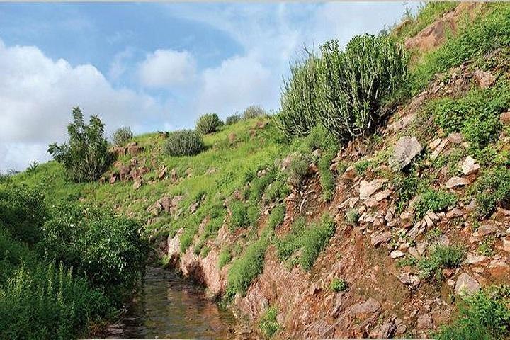Besuch des Rao Jodha Desert Rock Parks in Jodhpur