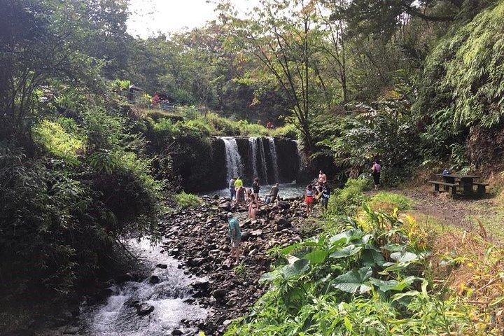 マウイ島ツアー：ラハイナ発ハナへの日帰り旅行（送迎付き）