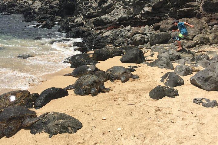 マウイ島ツアー：ラハイナ発ハナへの日帰り旅行（送迎付き）