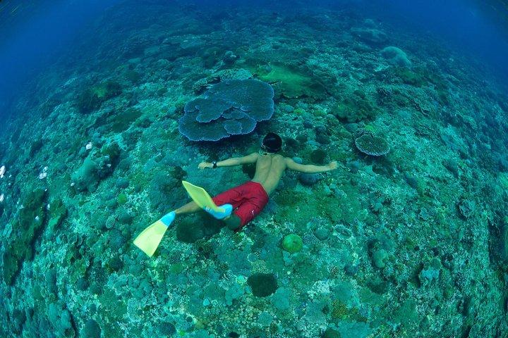 Snorkeling incrível em Bali