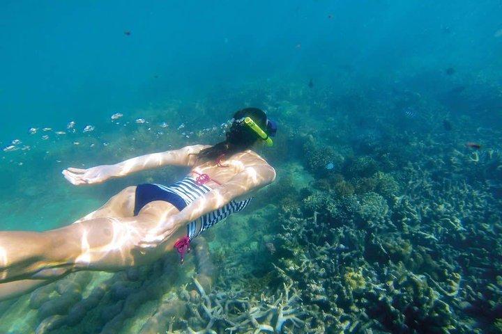 Snorkeling incrível em Bali