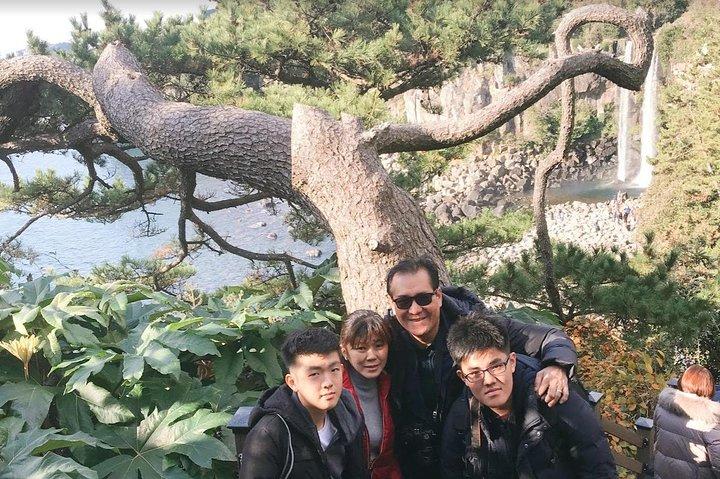 Tour in taxi dell'isola di Jeju: South Day Tour
