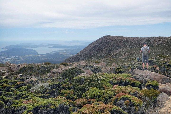 kunanyi/Mt Wellington Explorer Bus-retur tur (2,5 timer)