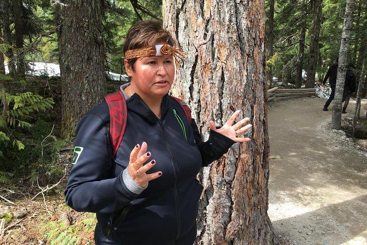Talking Trees : visite à pied autochtone du parc Stanley animée par un Guide autochtone