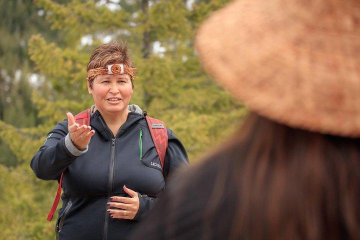 Talking Trees : visite à pied autochtone du parc Stanley animée par un Guide autochtone