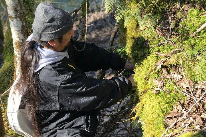 Talking Trees : visite à pied autochtone du parc Stanley animée par un Guide autochtone