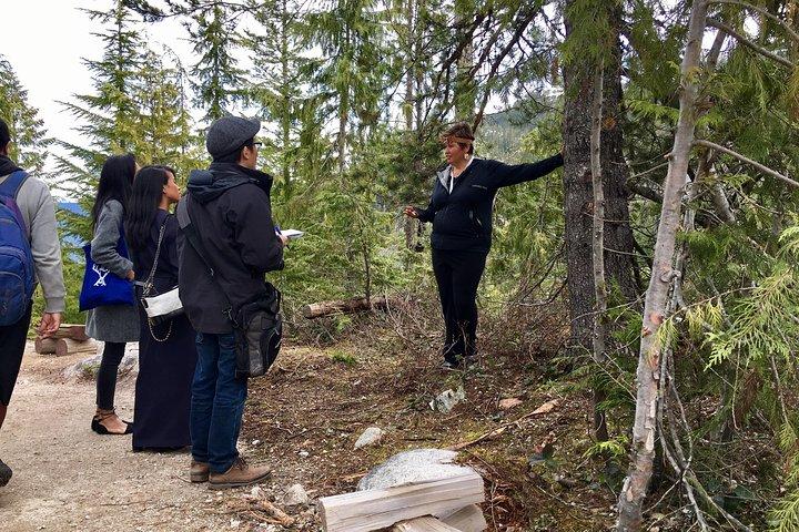 Talking Trees : visite à pied autochtone du parc Stanley animée par un Guide autochtone