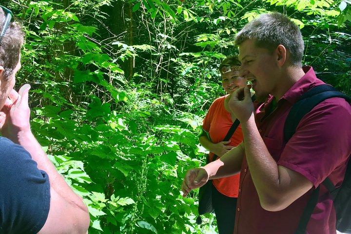 Talking Trees : visite à pied autochtone du parc Stanley animée par un Guide autochtone