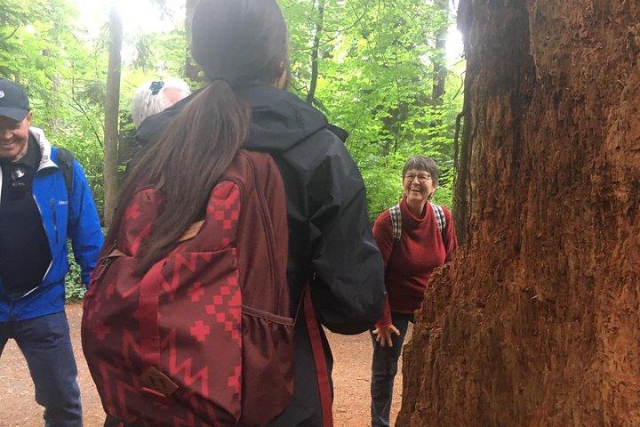 Talking Trees : visite à pied autochtone du parc Stanley animée par un Guide autochtone