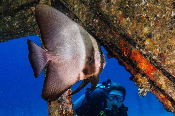 Viaje de buceo Racha Yai desde Phuket