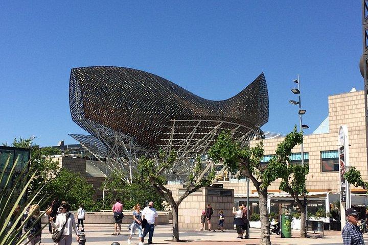Barcelona Half-day Tour With Local Driver-guide