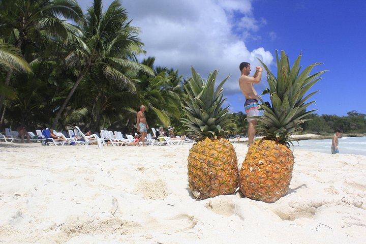 Saona Island Excursion From Punta Cana