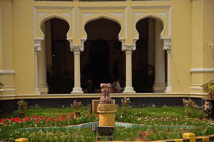 The Mysuru Maharaja Walk