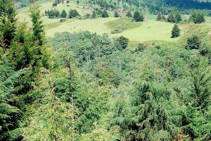 Nairobi Zip Lining Adventure Experience