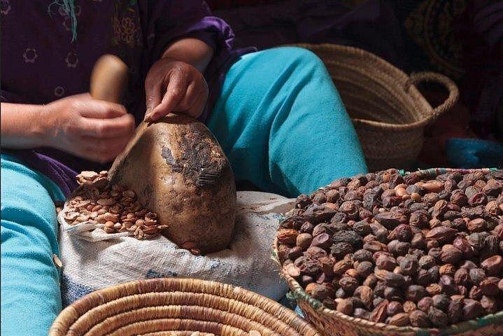 Heldagsutflykt till Essaouira