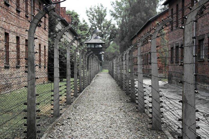 Viagem Privada de Dia Inteiro de Praga a Auschwitz - Birkenau