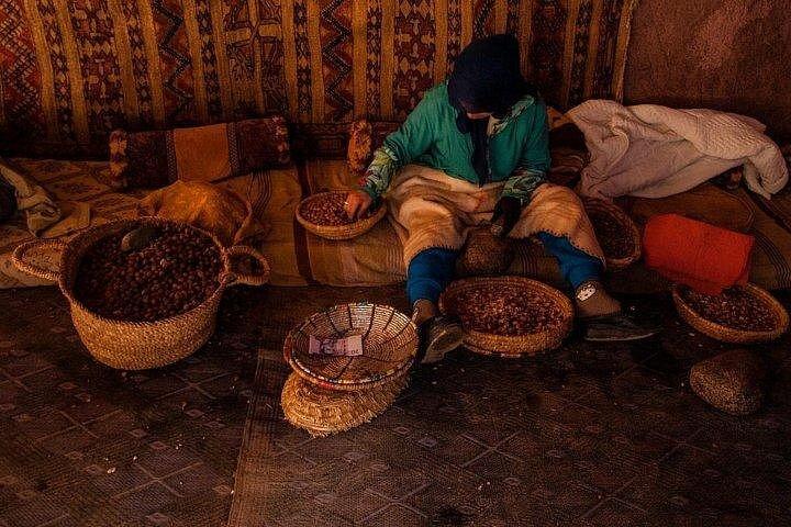 Ourika Valley：マラケシュからのアトラス山脈日帰り旅行