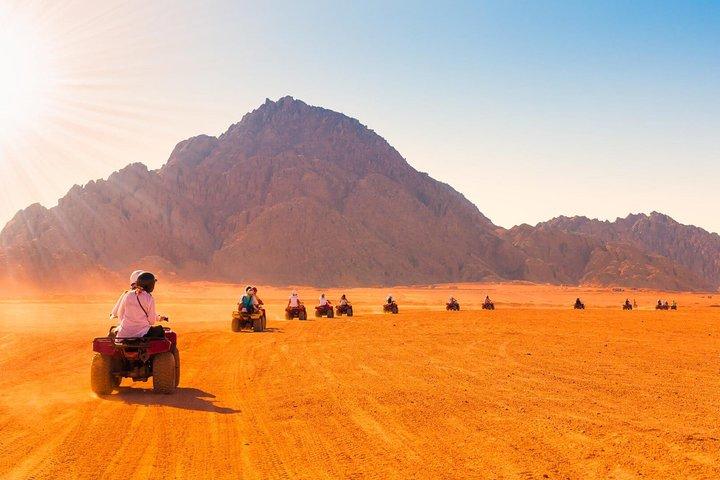 Giro in quad a Sharm Sunset, spettacolo, cena