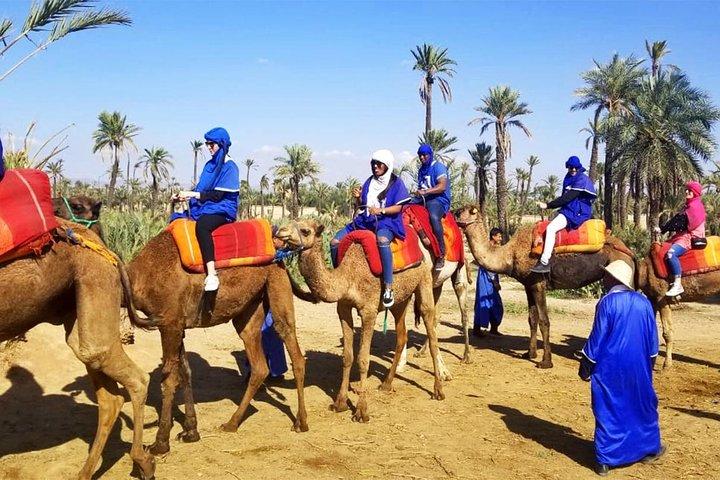 Camel Ride a Marrakech con Hotel-Pick up e drop-off inclusi