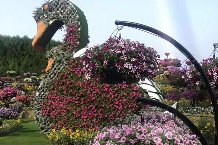 Miracle Garden & Butterfly Garden avec billet et transferts privés