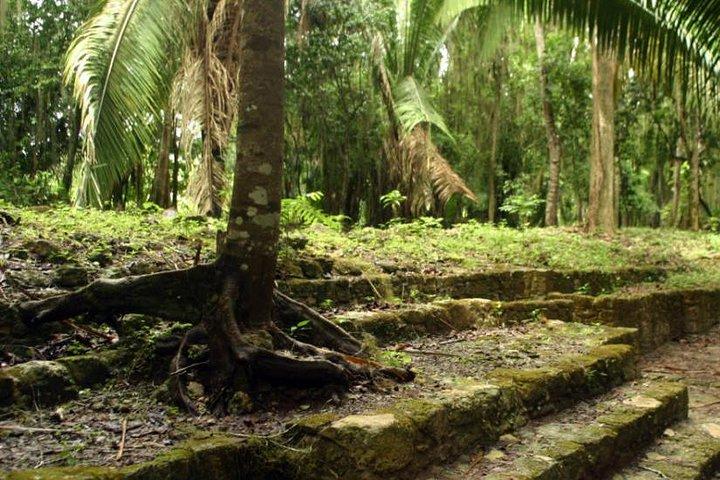 Excursión por la Costa Maya: excursión de un día a Chacchoben