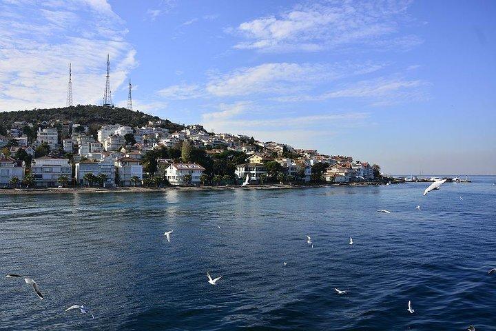 Princes Islands Tour vanuit Istanbul