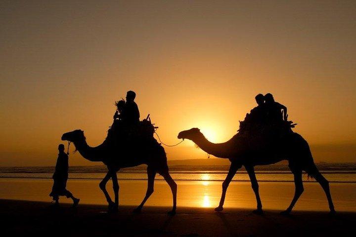 Viaje privado de un día completo a Marrakech desde Marrakech
