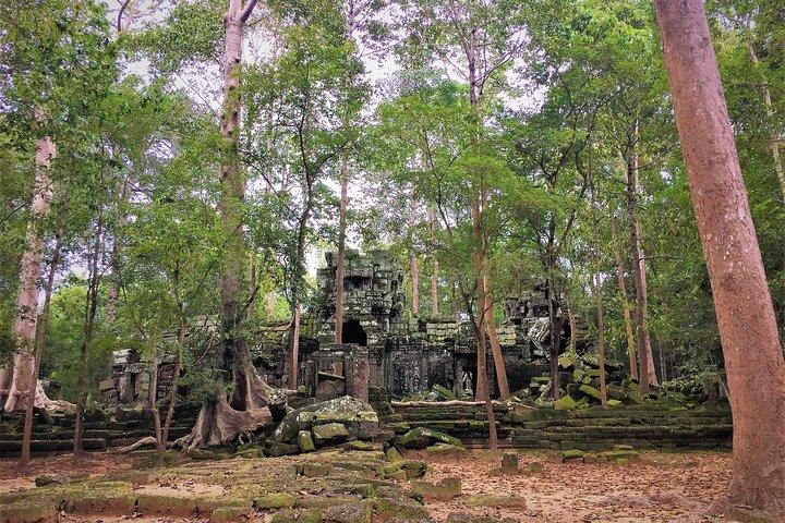 Angkor Wat solopgang små stille templer