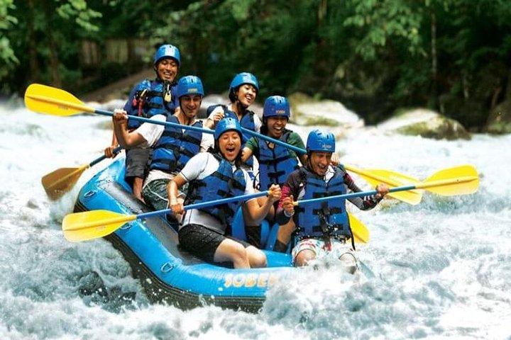 Emozionante rafting e swing sull'acqua bianca al Tegallalang Rice Terrace Package