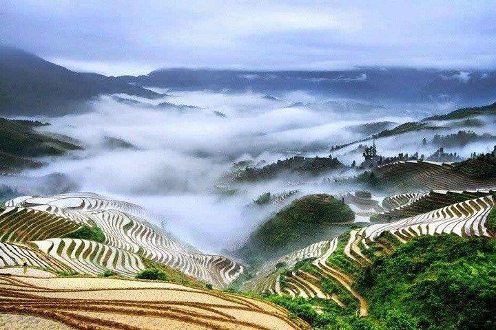 1 日ツアー : 龍吉の棚田と少数民族の村