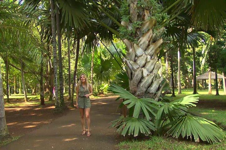Visite du nord de l'île Maurice - Excursion d'une journée complète