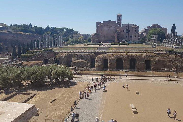 Rome Full Day Tour: Coliseu e Museus do Vaticano