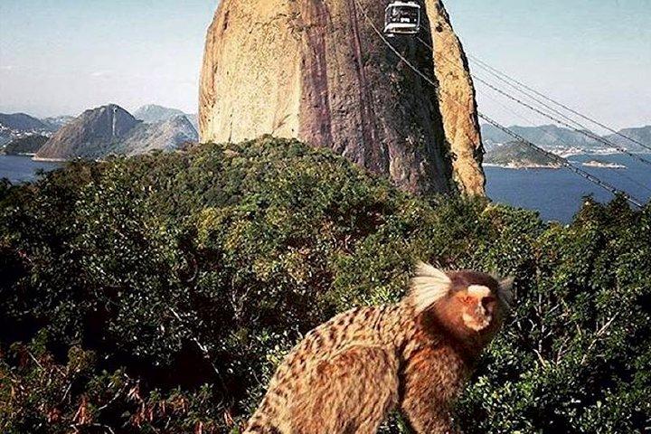 Punti salienti di Rio - Mezza giornata