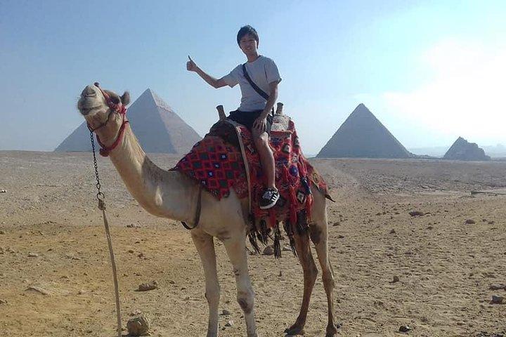 Tour privato: Giza Pyramids & Memphis & Saqqara e giro in cammello